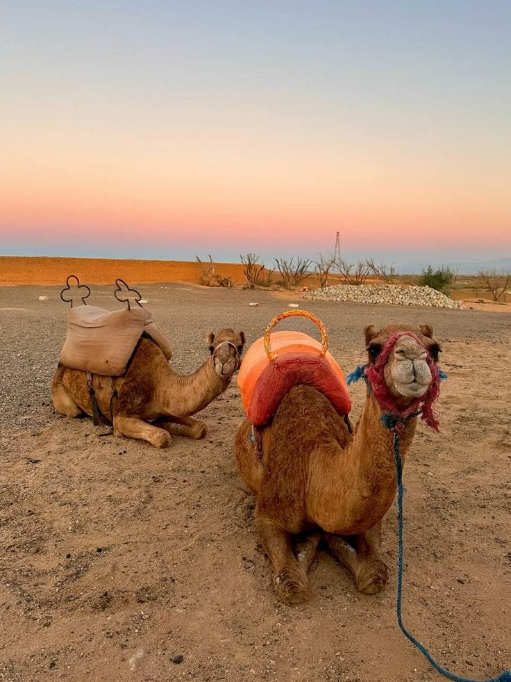 Agafay Desert 1 authentic Morocco tours