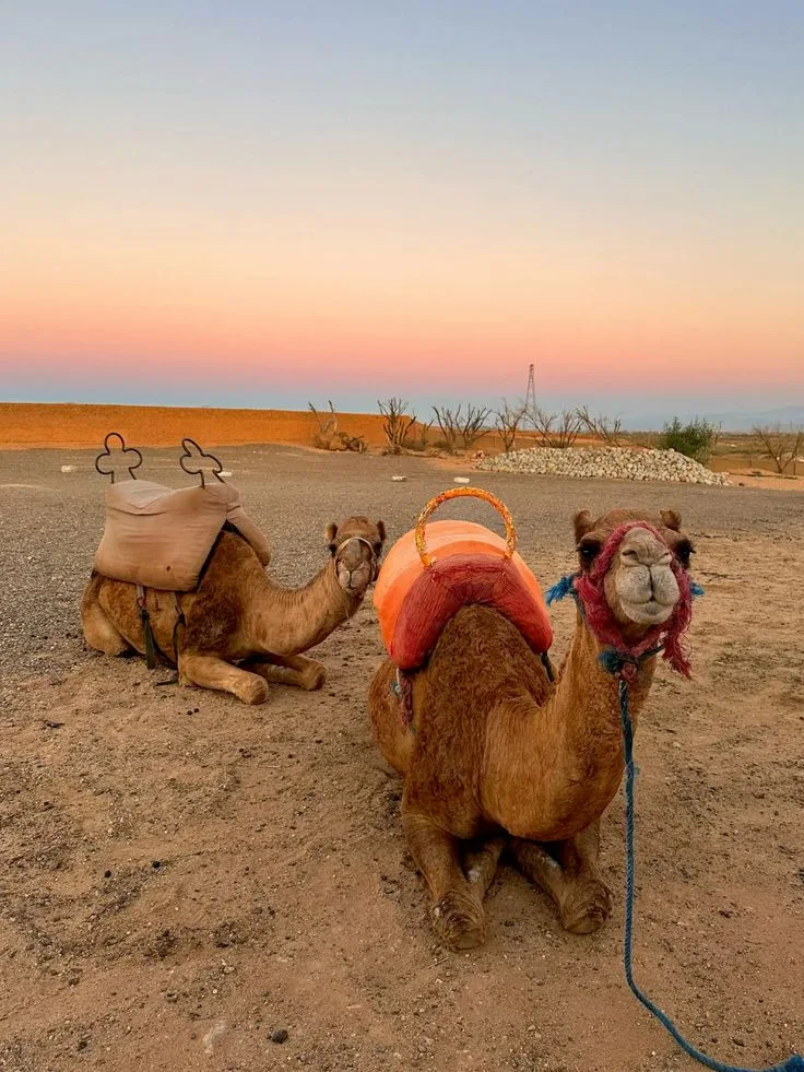 Agafay Desert 1 authentic Morocco tours