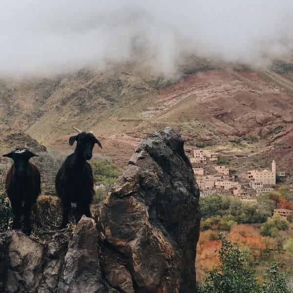 Morocco luxury travel