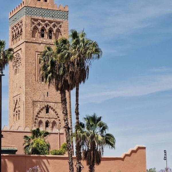 Taghazout travel agency
