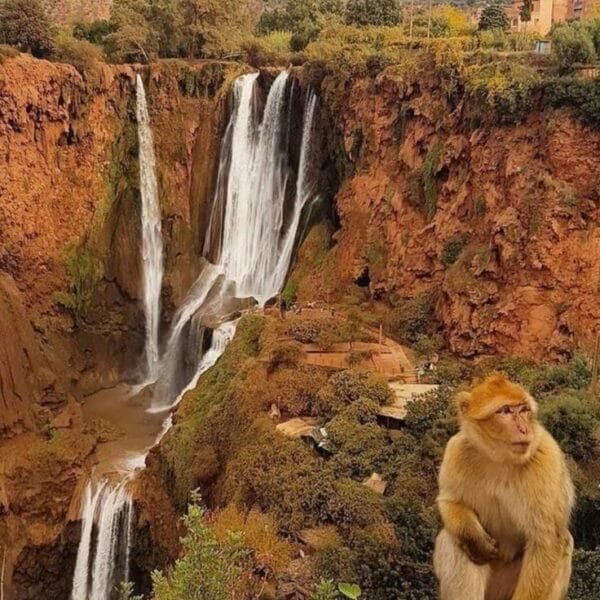 Morocco yoga retreats