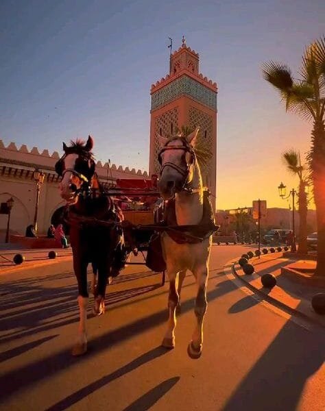 Morocco van with driver